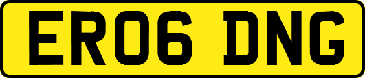 ER06DNG