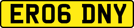 ER06DNY