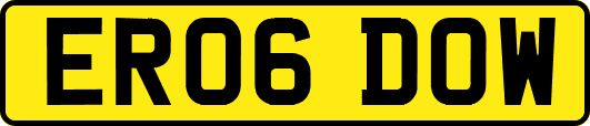 ER06DOW