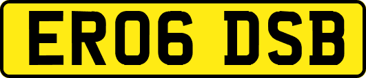 ER06DSB