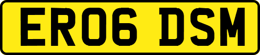 ER06DSM