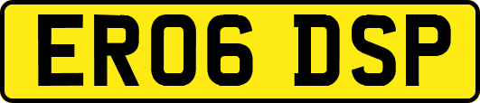 ER06DSP