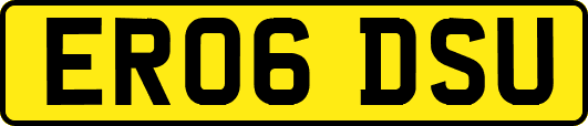 ER06DSU