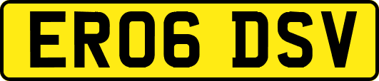 ER06DSV