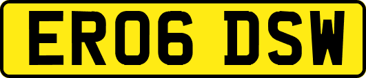 ER06DSW
