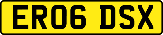 ER06DSX