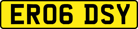 ER06DSY