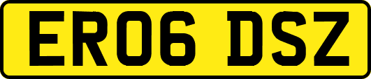 ER06DSZ