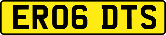 ER06DTS