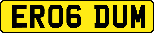 ER06DUM