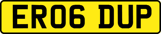 ER06DUP