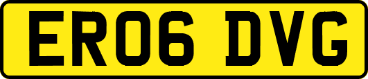 ER06DVG