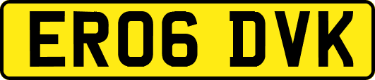 ER06DVK