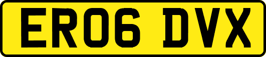 ER06DVX