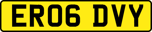 ER06DVY