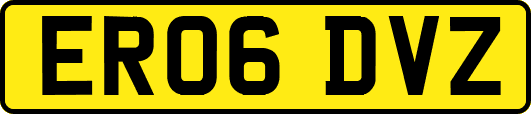 ER06DVZ