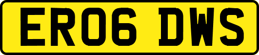 ER06DWS