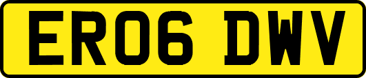 ER06DWV
