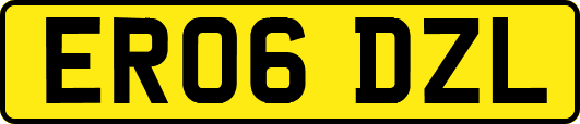 ER06DZL