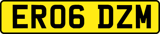 ER06DZM