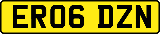 ER06DZN