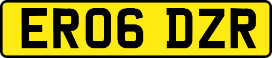 ER06DZR
