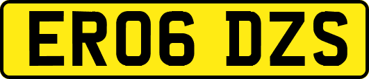 ER06DZS