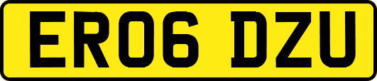 ER06DZU
