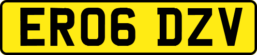 ER06DZV
