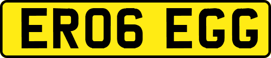 ER06EGG