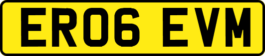 ER06EVM