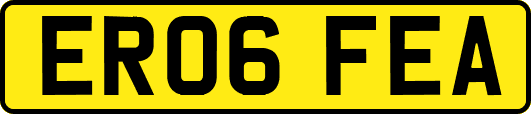 ER06FEA