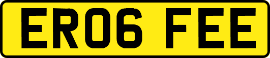 ER06FEE