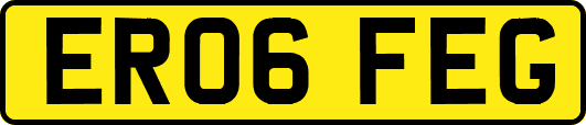 ER06FEG