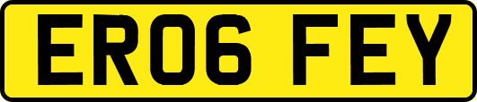ER06FEY