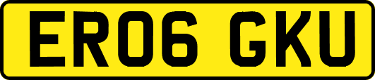 ER06GKU