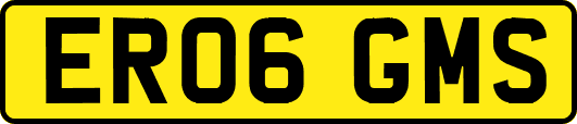 ER06GMS