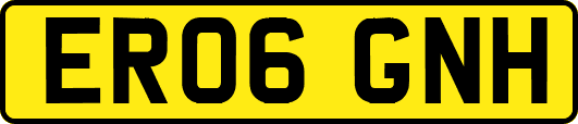 ER06GNH