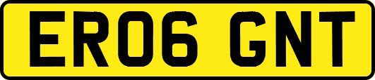 ER06GNT