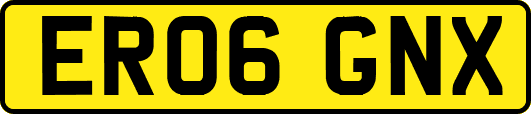 ER06GNX