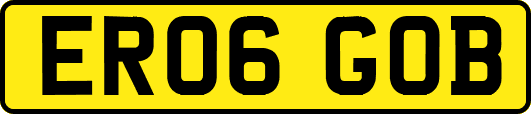 ER06GOB