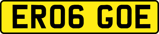 ER06GOE