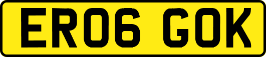ER06GOK