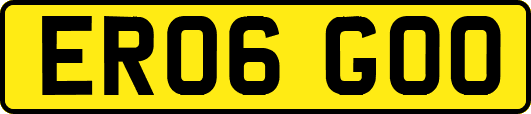 ER06GOO