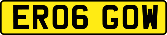 ER06GOW