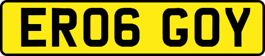 ER06GOY