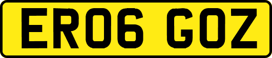 ER06GOZ
