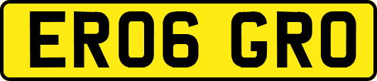 ER06GRO