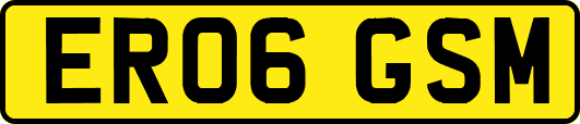 ER06GSM