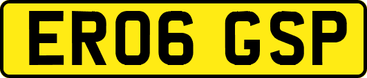 ER06GSP